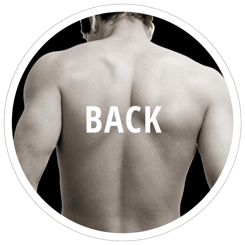 Back